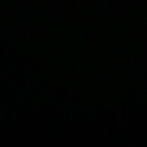 Meet your Posher, Will